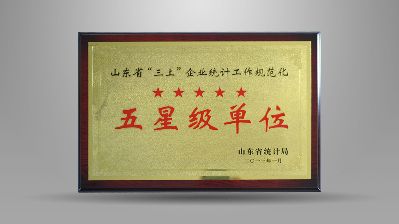 Five star units of Shandong Provincial Bureau of Statistics